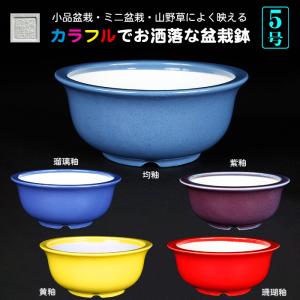 盆栽鉢 静和富造3号反型丸鉢 色鉢 磁器 9cm 小品盆栽 ミニ盆栽 山野草
