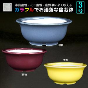 盆栽鉢 静和富造3号反型丸鉢 色鉢 磁器 9cm 小品盆栽 ミニ盆栽 山野草