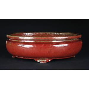 盆栽鉢 「壱興紅泥木瓜式鉢」 植木鉢 作家鉢 一弘 壱興造記 常滑 共箱