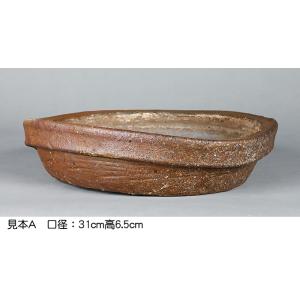 盆栽鉢 山野草鉢 「本南蛮丸鉢（中）」 寄せ植え 文人盆栽 草物に最適