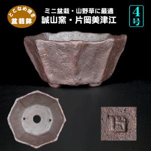 盆栽鉢 紫泥外縁木瓜式鉢 6号 19cm 朱泥 植木鉢 中国鉢 泥鉢 陶器 肉厚