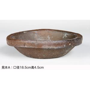 盆栽鉢 山野草鉢 「本南蛮丸鉢（中）」 寄せ植え 文人盆栽 草物に最適