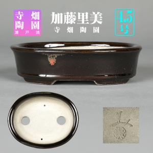 角山窯幸峰浮彫龍文長方鉢 第17回現代小鉢作家展「泥物の部」銀賞受賞