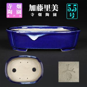 盆栽鉢 「東福寺瑠璃釉窯変長方鉢」 植木鉢 初代 平安東福寺 落款あり