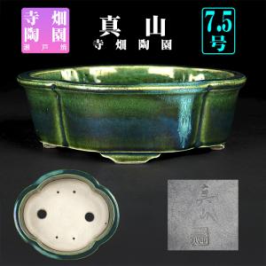 盆栽鉢 二代東福寺緑釉楕円鉢 植木鉢 平安東福寺 水野勇 落款あり