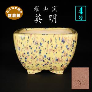 盆栽鉢 植木鉢 「英明珊瑚釉ハート型鉢」 常滑 燿山窯英明 色鉢 4号