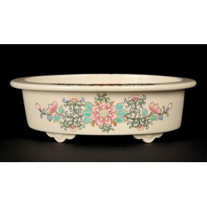 盆栽鉢 「紀伊赤絵山水図楕円鉢」 植木鉢 絵付鉢 作家鉢 磁器 共箱