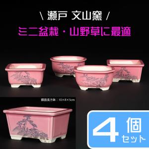 盆栽鉢 「瀬戸焼文山窯色小鉢12点セット」 植木鉢 色鉢 2号 5cm 可愛い