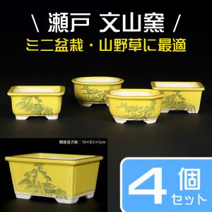 盆栽鉢 「瀬戸焼文山窯色小鉢12点セット」 植木鉢 色鉢 2号 5cm 可愛い