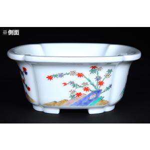 十五代柿右衛門色絵松竹梅外縁木瓜式鉢 盆栽鉢 ...の詳細画像3