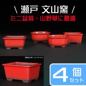 盆栽鉢 「壱興紅泥木瓜式鉢」 植木鉢 作家鉢 一弘 壱興造記 常滑 共箱