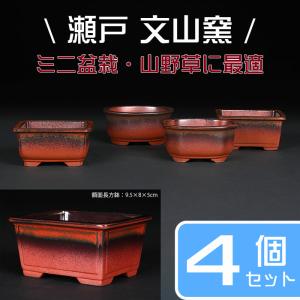 盆栽鉢 「紀伊染付山水図楕円鉢」 植木鉢 絵付鉢 作家鉢 磁器 呉須 共