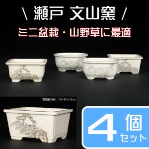 盆栽鉢 植木鉢 「瀬戸焼文山窯絵付小鉢12点セット」 絵鉢 絵付鉢 2号