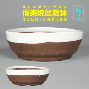 萬瑠平雷文楕円鉢 盆栽鉢 鉢 盆器 植木鉢 浮彫 bonsaipot 常滑 とこ