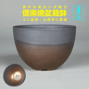 盆栽鉢 山野草鉢 「信楽焼楽風ミニ鉢8点セット」 植木鉢 陶器 2号 7cm