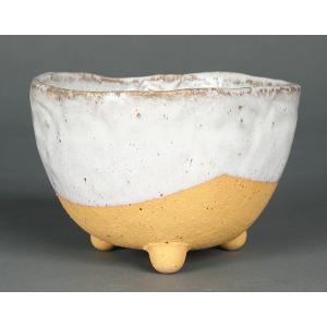 盆栽鉢 山野草鉢 「信楽焼楽風ミニ鉢8点セット」 植木鉢 陶器 2号 7cm