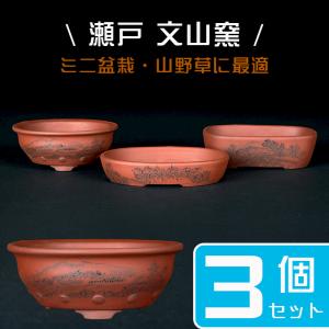 盆栽鉢 「瀬戸焼文山窯朱泥絵付鉢3点セット」 植木鉢 絵鉢 泥鉢 焼締 4