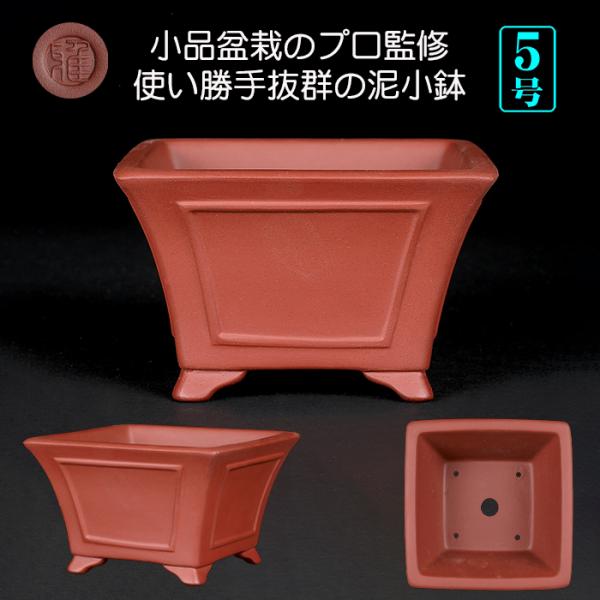 盆栽鉢 紫泥額面正方鉢 朱泥 植木鉢 中国鉢 泥鉢 懸崖鉢 陶器 5号 16cm レッド 小品盆栽 ...