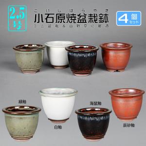 盆栽鉢 色鉢 緑釉外縁胴紐楕円鉢 陶器 4号 11cm グリーン 小品