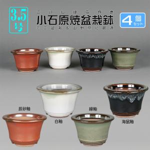 特大　桜陶　落款　緑釉　楕円　盆栽鉢 特大 桜陶 落款 緑釉 楕円 盆栽鉢 特大 桜陶 落款 緑釉 楕円
