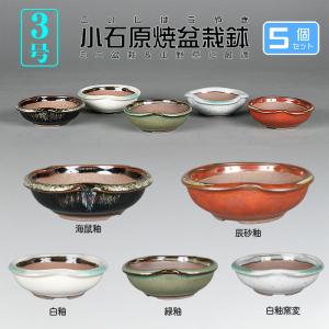 瀬戸染付丸鉢 : 盆栽彩都ヤフー店 - 通販 - Yahoo!ショッピング