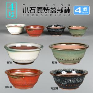 盆栽鉢 色鉢 緑釉外縁胴紐楕円鉢 陶器 4号 11cm グリーン 小品