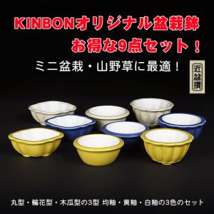 盆栽飾り卓 盆栽飾り台 「小品飾り棚」 箱卓 富士 盆栽卓 盆栽台 花台