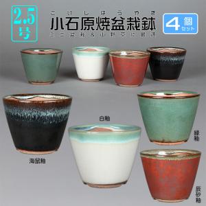 寿悦白釉長方鉢 盆栽鉢 植木鉢 盆器 pot bonsaipot juetsu ジュエツ