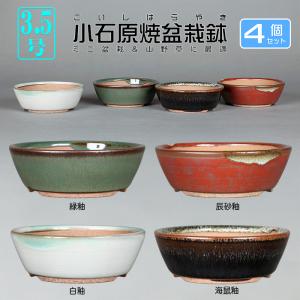 盆栽鉢　時代ミニ盆栽鉢小品盆栽鉢水庄園梨皮長方鉢楕円鉢2こ山野草サボテン多肉植物 bonsaisaite_h110148