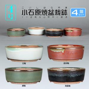 盆栽鉢 色鉢 緑釉外縁胴紐楕円鉢 陶器 4号 11cm グリーン 小品盆栽