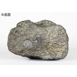 水石 「加茂川石」 盆石 天然石 すいせき 台...の詳細画像2