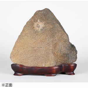 四万十川石　神火2石　水石 鑑賞石 四万十川石 神火2石 水石 鑑賞石