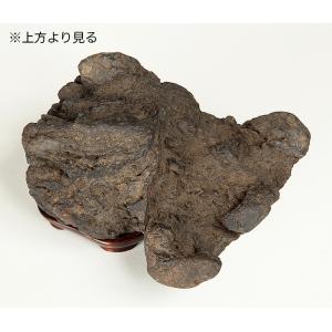 水石 「加茂川石」 盆石 天然石 かもがわ カ...の詳細画像2