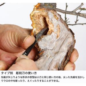 盆栽道具 盆栽手入れ道具 「彫刻刀 笹型 」 ...の詳細画像3