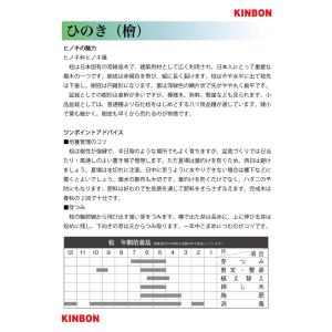 盆栽 石化桧 銀芽 檜 桧 ヒノキ セッカヒノ...の詳細画像3