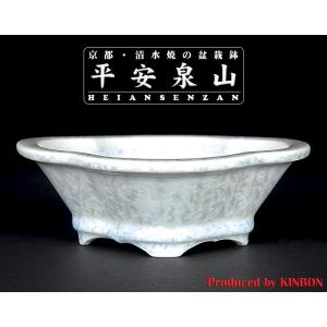 角山窯幸峰浮彫龍文長方鉢 第17回現代小鉢作家展「泥物の部」銀賞受賞