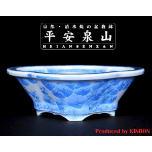 清水焼 京焼 染付 大鉢 bonsaisaite_hte0004