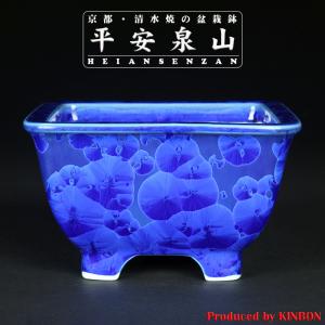 盆栽鉢 紫泥外縁胴紐楕円鉢 植木鉢 中国鉢 張氏製陶 落款あり 15号