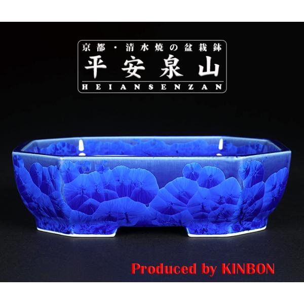 盆栽鉢 植木鉢 「平安泉山瑠璃花結晶隅切長方鉢」 山草鉢 清水焼 京焼 磁器 ネイビー 5号 16c...
