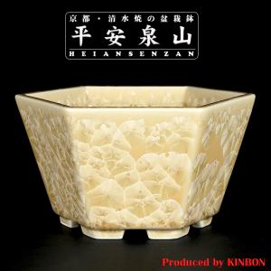 盆栽鉢 山野草鉢 「本南蛮丸鉢（中）」 寄せ植え 文人盆栽 草物に最適