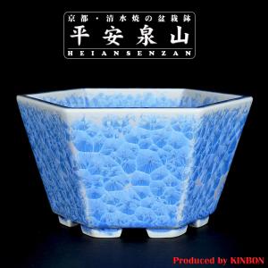 紅泥雷文楕円鉢 : 盆栽彩都ヤフー店 - 通販 - Yahoo!ショッピング