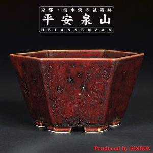 紅泥雷文楕円鉢 : 盆栽彩都ヤフー店 - 通販 - Yahoo!ショッピング