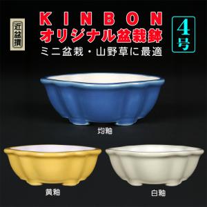 黄緑色 陶器製 楕円形、小品盆栽鉢 盆栽鉢 色鉢 緑釉外縁胴紐楕円鉢 陶器 4号 11cm グリーン 小品盆栽