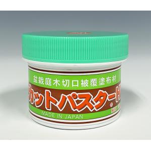 ＜NEW＞カットパスター Hi 190g