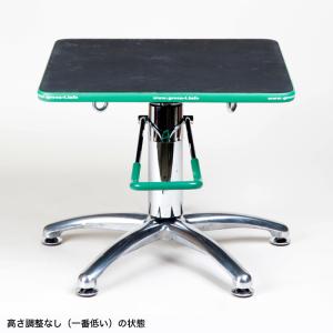 盆栽道具 盆栽作業台 「油圧式回転作業台Gre...の詳細画像1