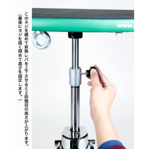 盆栽道具 盆栽作業台 「油圧式回転作業台Gre...の詳細画像1