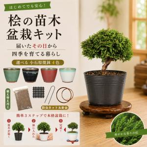 盆栽キット 桧（ヒノキ） 初心者 ミニ盆栽 スターターキット 小石原焼 鉢付き 用土付き 実物盆栽 送料無料 ギフト