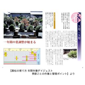 書籍 本 盆栽専門誌「黒松の育て方」クロマツ ...の詳細画像3