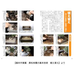 書籍 本 盆栽専門誌「黒松の育て方」クロマツ ...の詳細画像5