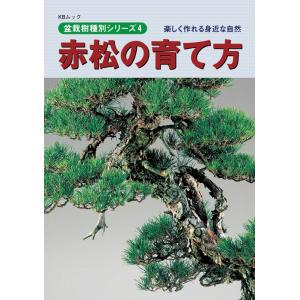 書籍 本 盆栽専門誌「赤松の育て方」アカマツ 手入れ 管理 切り方 曲げ方 植え替え 剪定 水やり 消毒など作業がよく分かる｜盆栽彩都ヤフー店